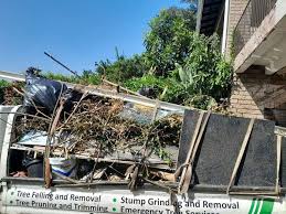 Best Same-Day Junk Removal Services  in Arkwright, SC